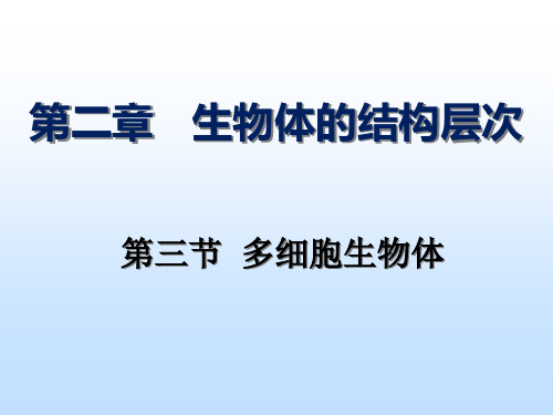 冀少版七年级上册第三节 多细胞生物体课件 (共18张PPT)