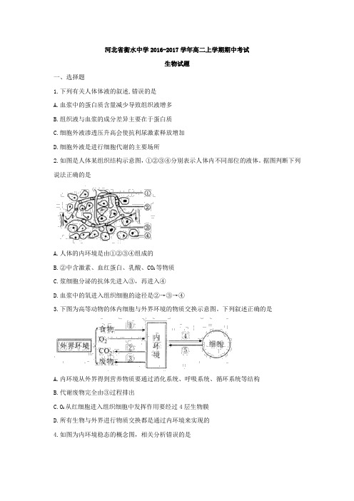 河北衡水中学高二上学期期中考试生物试题 word含答案