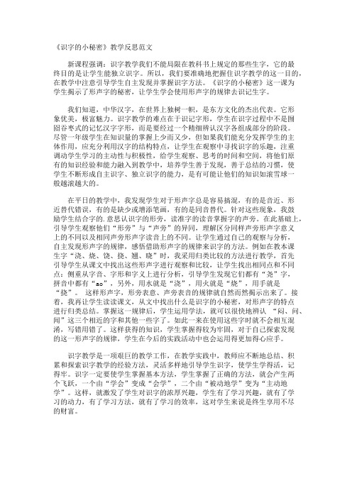 《识字的小秘密》教学反思