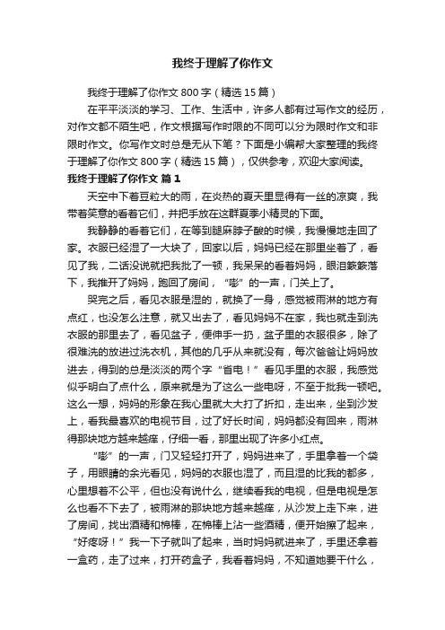 我终于理解了你作文