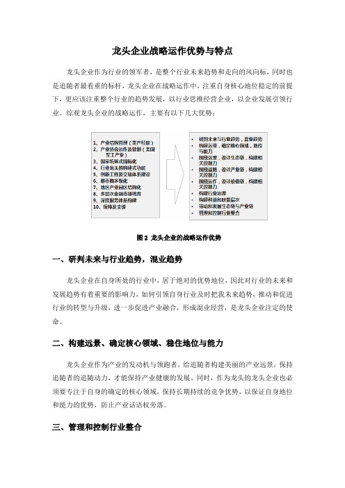 龙头企业战略运作优势与特点