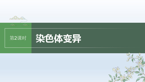 人教版2024届高考生物一轮复习染色体变异教学课件