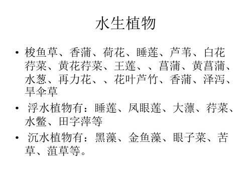 水生、竹类、藤本及地被植物植物