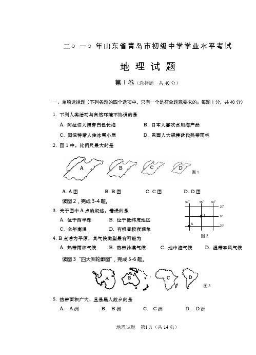 10年中考地理试题