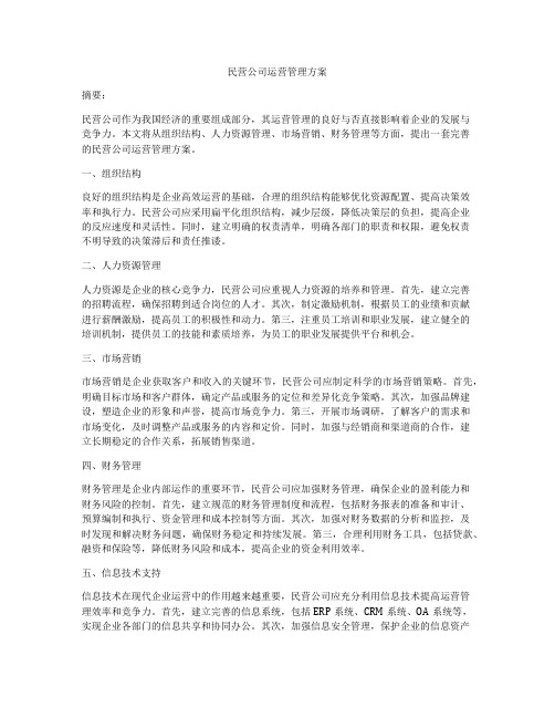 民营公司运营管理方案