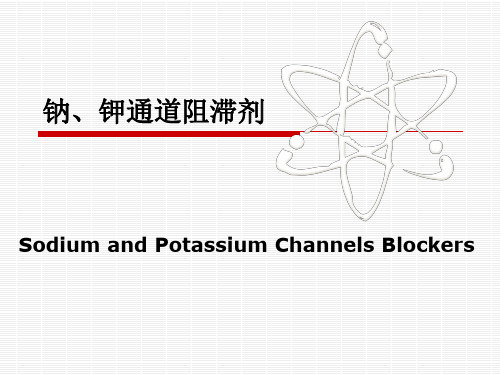 4.钠、钾通道阻滞剂