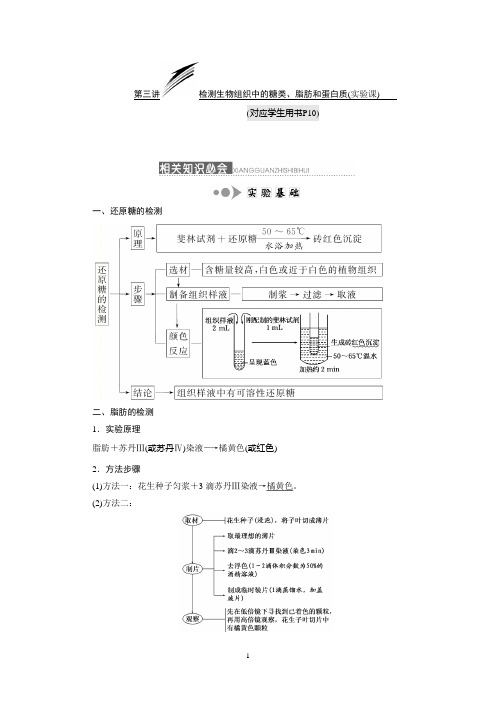 检测生物组织中的糖类脂肪和蛋白质试验课