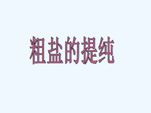 年中考化学专题复习粗盐提纯