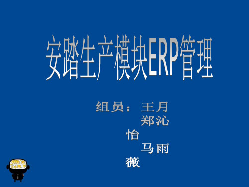 服装erp