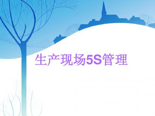 现场5S管理