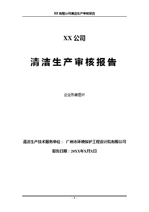 清洁生产审核报告编制范本 精品