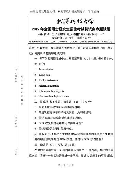 武汉科技大学616 分子生物学-2019(B卷)