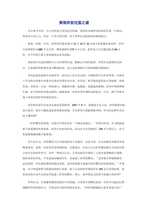 黄海浒苔泛滥之谜
