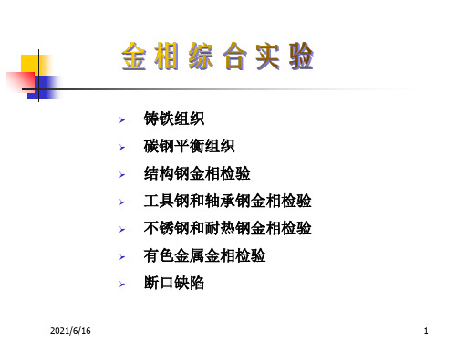 常见金相组织图片