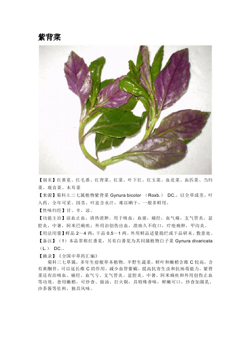 野菜特种菜汇总[1](1)