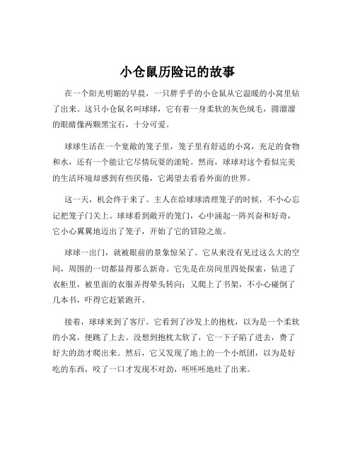 小仓鼠历险记的故事