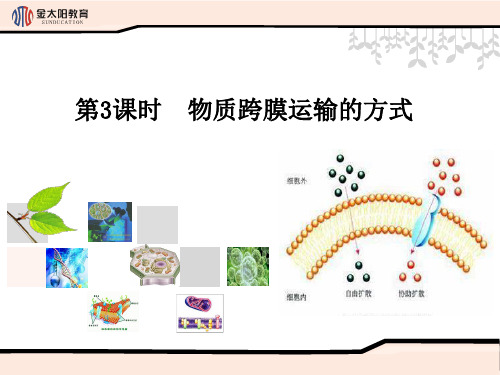 《物质跨膜运输的方式》导学案