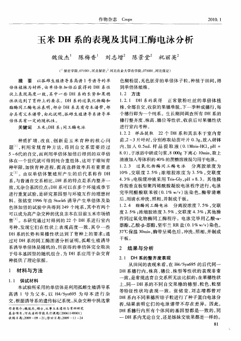 玉米DH系的表现及其同工酶电泳分析