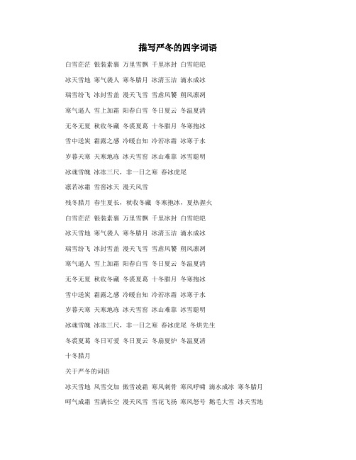 描写严冬的四字词语