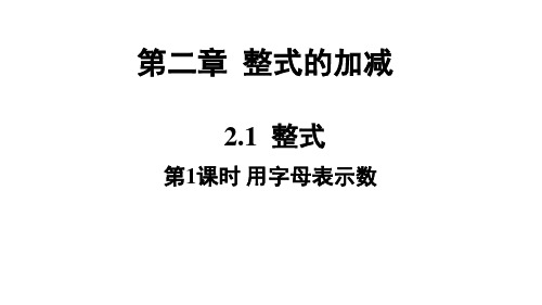 人教版七年级上数学课件：用字母表示数(17张)