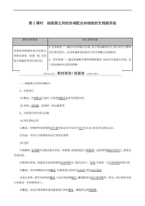 人教版高中生物同步学习 细胞器之间的协调配合和细胞的生物膜系统