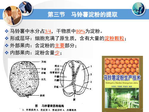 粮食加工 第六章第三节 薯类淀粉的生产 图文