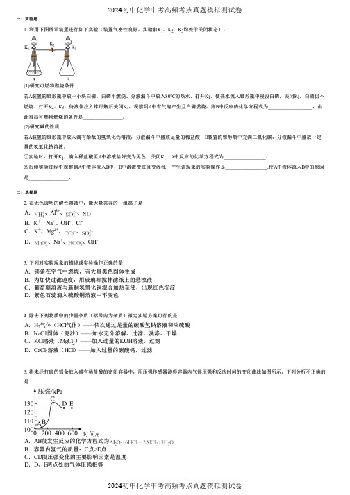 2024初中化学中考高频考点真题模拟测试卷 (2551)