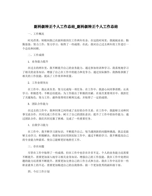 副科级转正个人工作总结_副科级转正个人工作总结