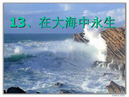 13、在大海中永生