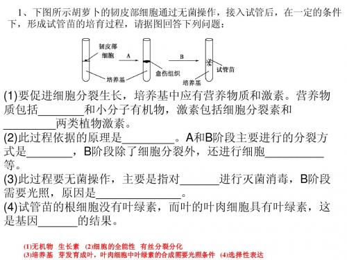 关于植物组织培养的高考题