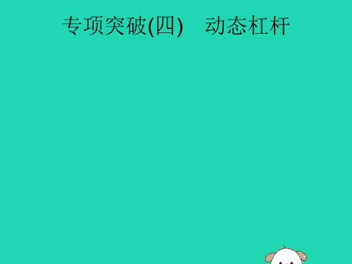 中考物理知识方法固基专项突破4动态杠杆课件