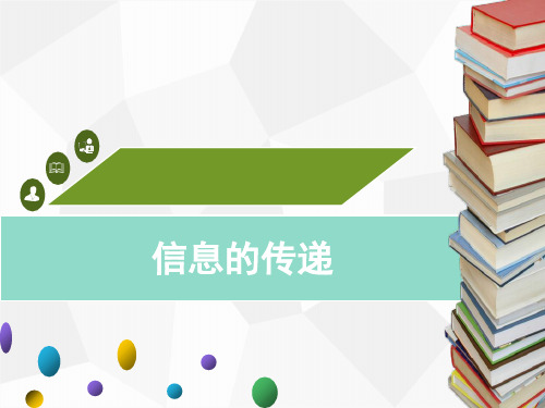 2020广东中考物理复习信息的传递PPT下载