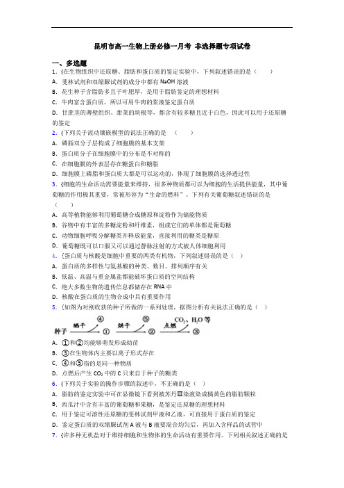 昆明市高一生物上册必修一月考 非选择题专项试卷