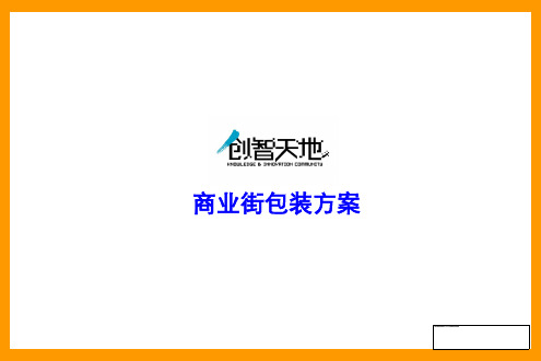 商业街包装建议_提案.pptx