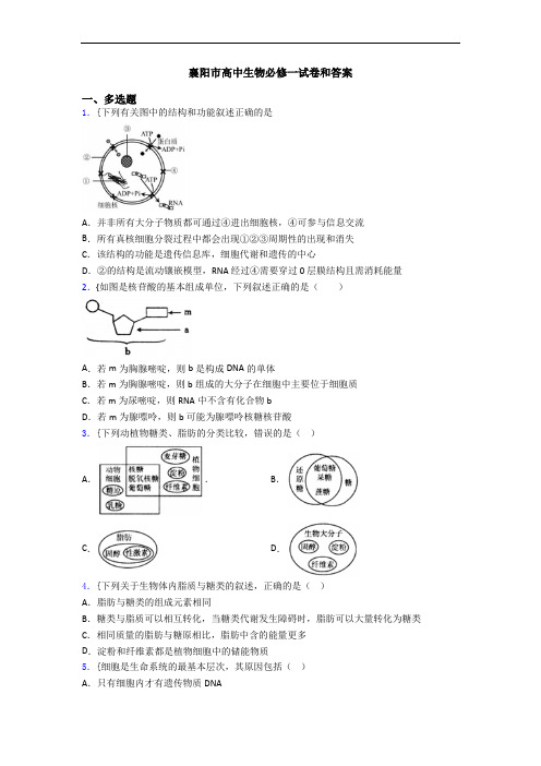 襄阳市高中生物必修一试卷和答案