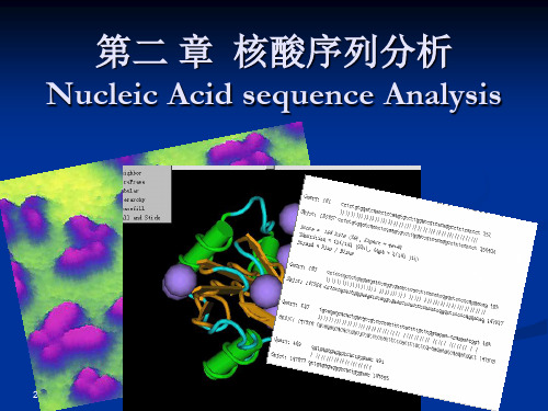 生物信息学课件