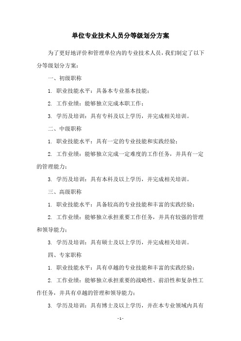 单位专业技术人员分等级划分方案