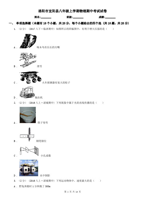 洛阳市宜阳县八年级上学期物理期中考试试卷