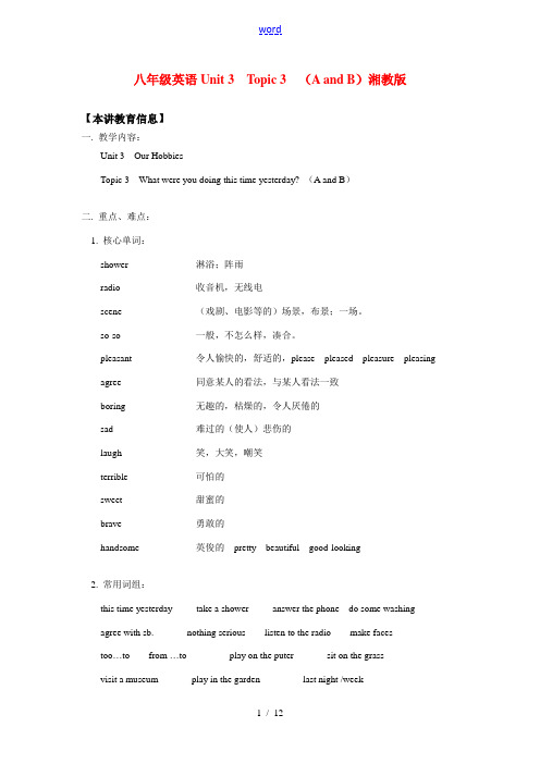 八年级英语Unit 3  Topic 3  (A and B)湘教版知识精讲