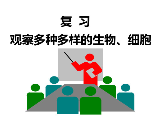 24讲：观察多种多样的生物、细胞研究报告
