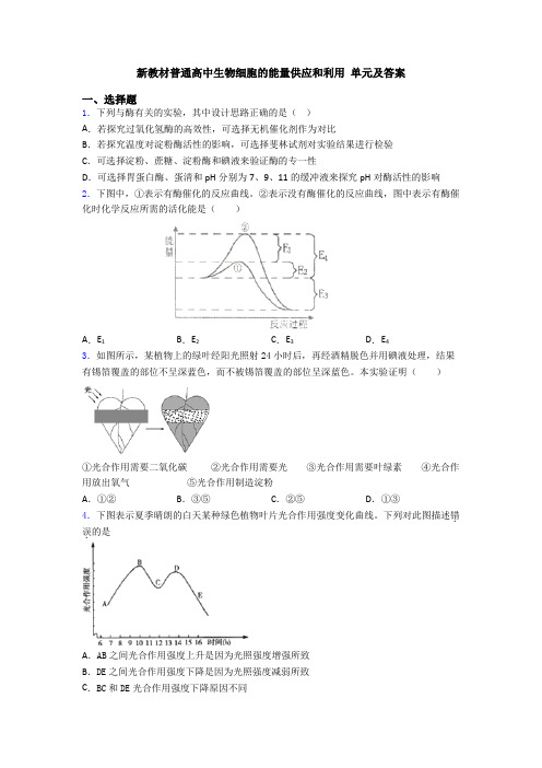 新教材普通高中生物细胞的能量供应和利用 单元及答案