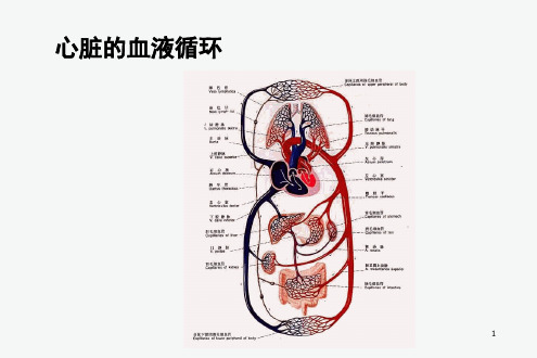 心力衰竭PPT课件