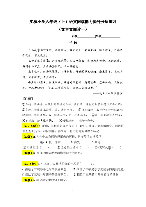 实验小学六年级(上)语文阅读能力提升分层练习(文言文阅读一)(2021年小学语文统编版)