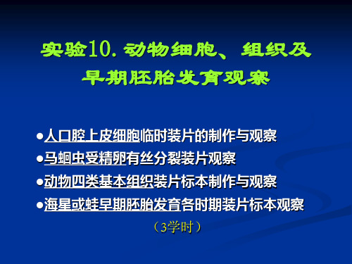 实验1.动物细胞、组织及早期胚胎发育观察