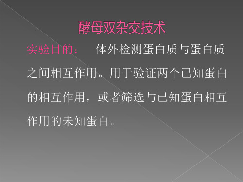 检测蛋白之间相互作用的方法