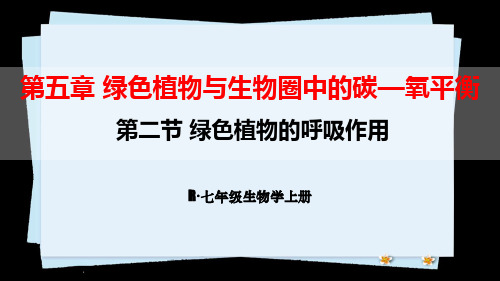 部编人教版七年级生物上册优质课件 第二节 绿色植物的呼吸作用