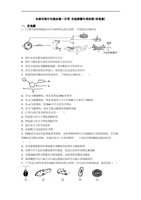 长春市高中生物必修一月考 非选择题专项试卷(含答案)