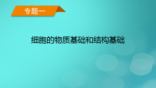 老高考适用2023版高考生物二轮总复习专题1细胞的物质基础和结构基础第1讲细胞的物质基次件