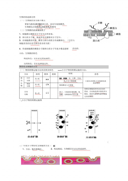 高中生物必修1第四章,五章复习提纲