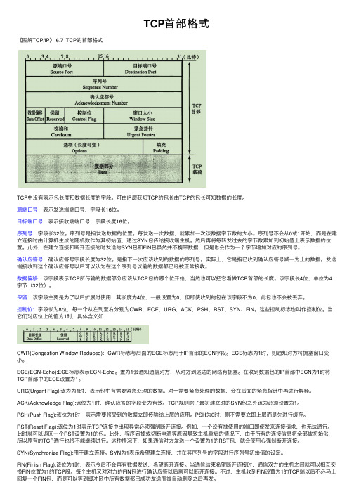 TCP首部格式